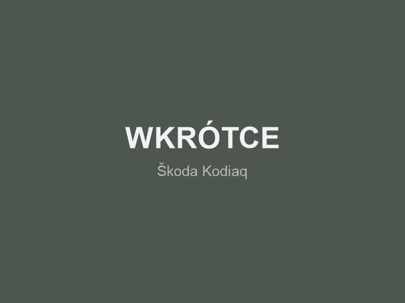 Škoda Kodiaq — Family SUV
